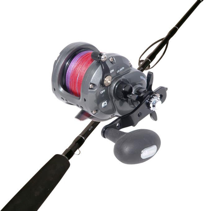 Okuma cortez online