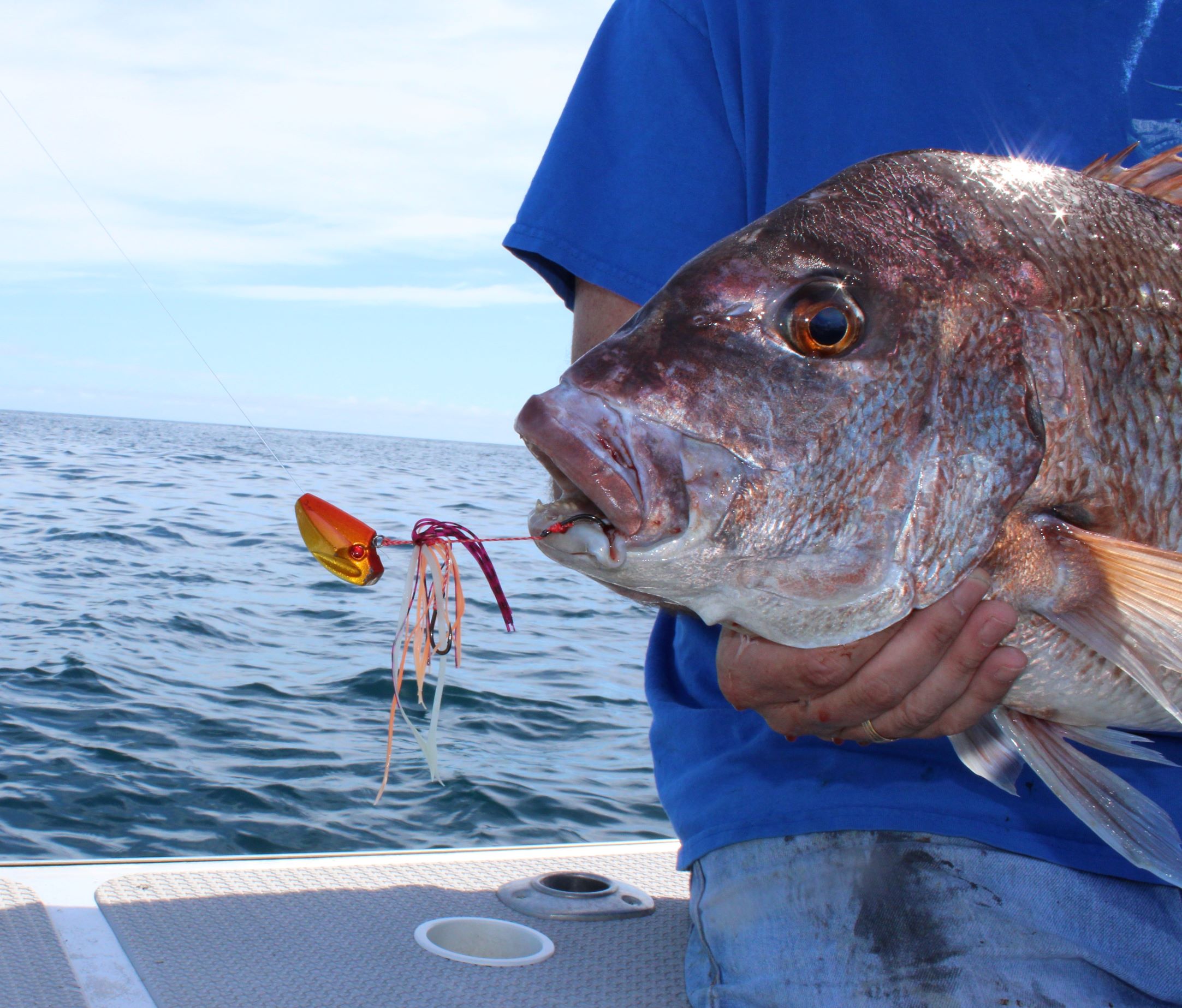 Snapper softbaiting how to turn a slow day fishing into a good day