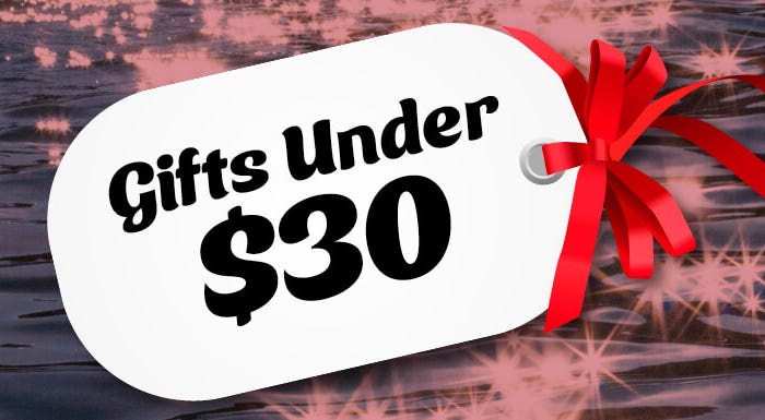 Gift Ideas Under $30