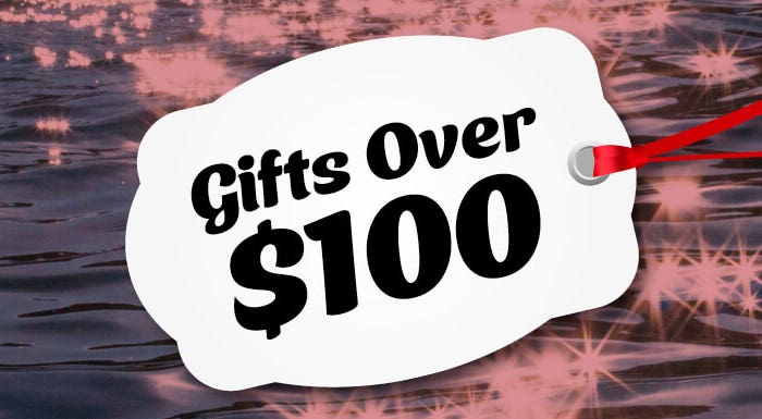 Gift Ideas Over $100