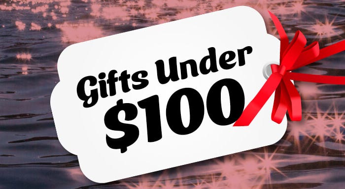 Gift Ideas Under $100